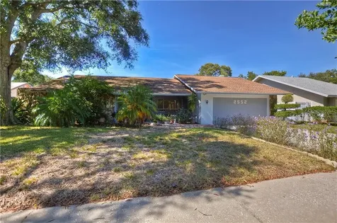 2552 Winding Way Palm Harbor FL 34683