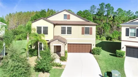 4469 Shrewbury Place Land O Lakes FL 34638