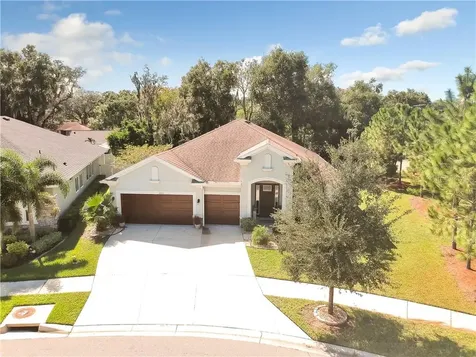 1007 Tracey Ann Loop Seffner FL 33584