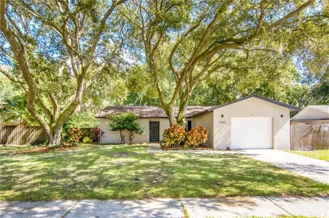 13921 Pathfinder Drive Tampa FL 33625