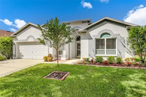 15434 Martinmeadow Drive Lithia FL 33547