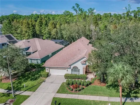 10409 Greenmont Drive Tampa FL 33626