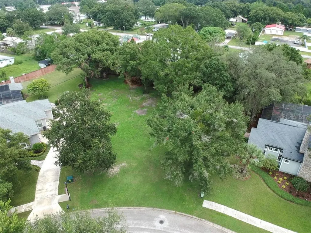 29551 Chapel Park Drive Wesley Chapel FL 33543