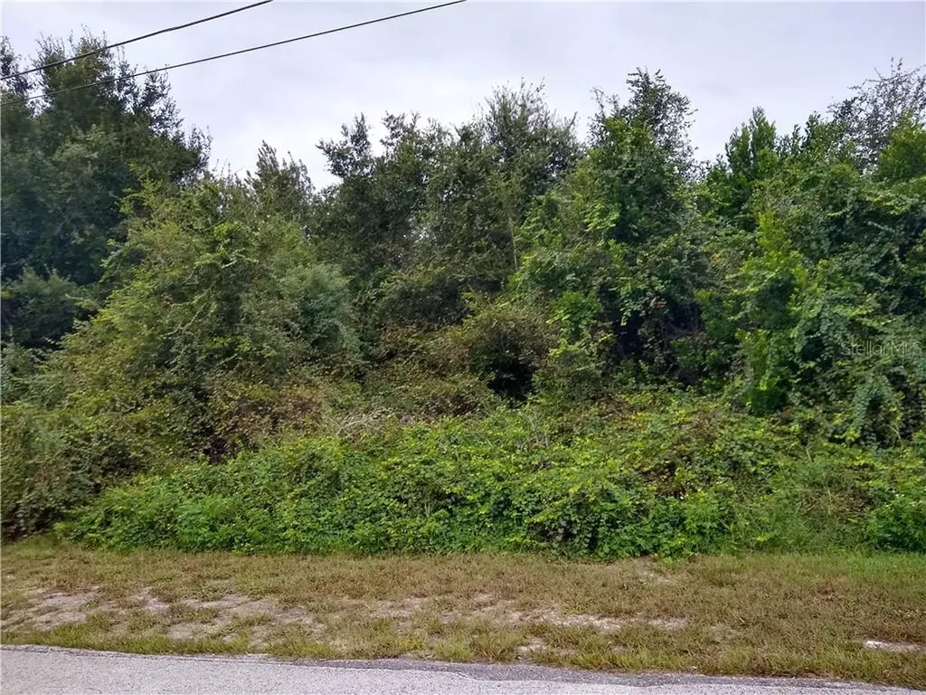 1741 Amboy Drive Deltona FL 32738