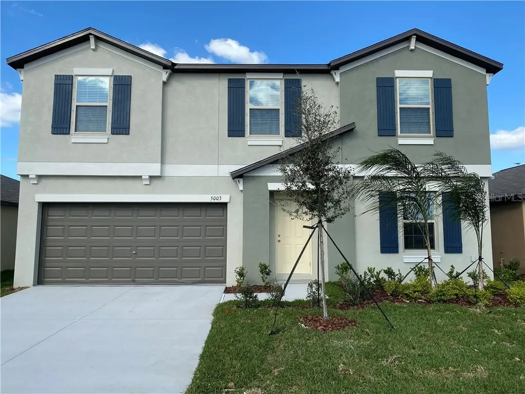 5003 White Chicory Drive Apollo Beach FL 33572