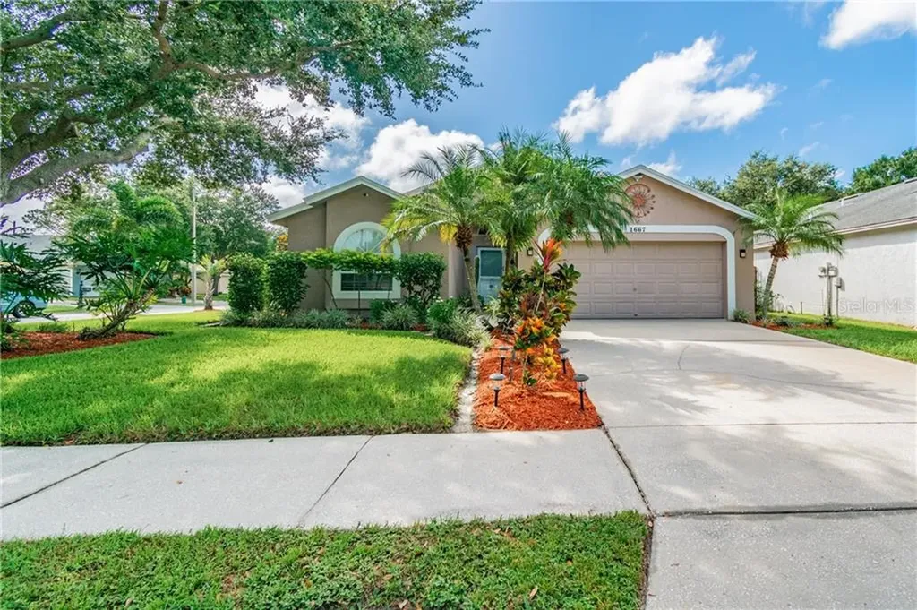 1667 Portsmouth Lake Drive Brandon FL 33511