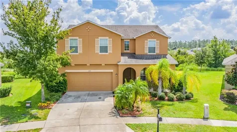5341 Dittany Court Land O Lakes FL 34639