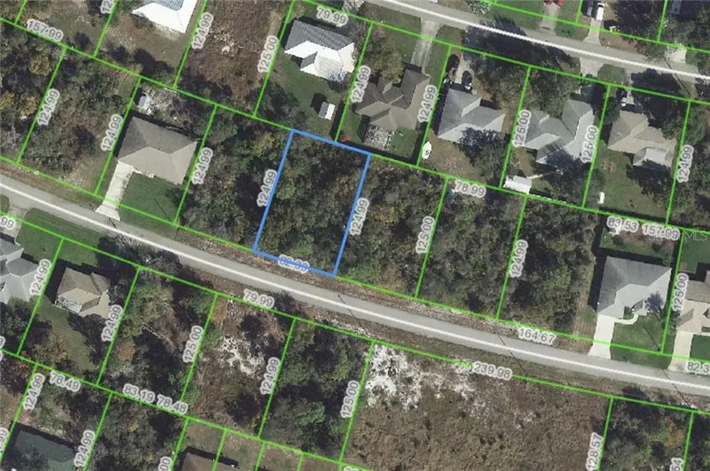 119 Grape Road NW Lake Placid FL 33852