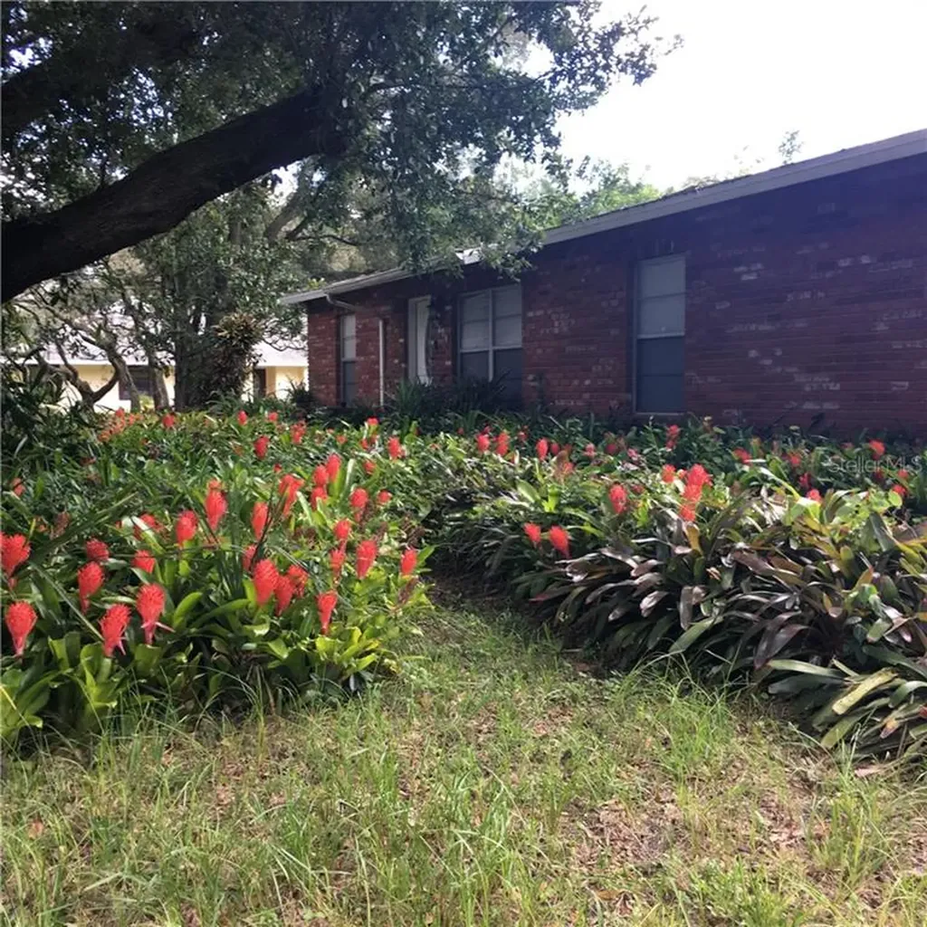 10609 N 52nd Street Temple Terrace FL 33617
