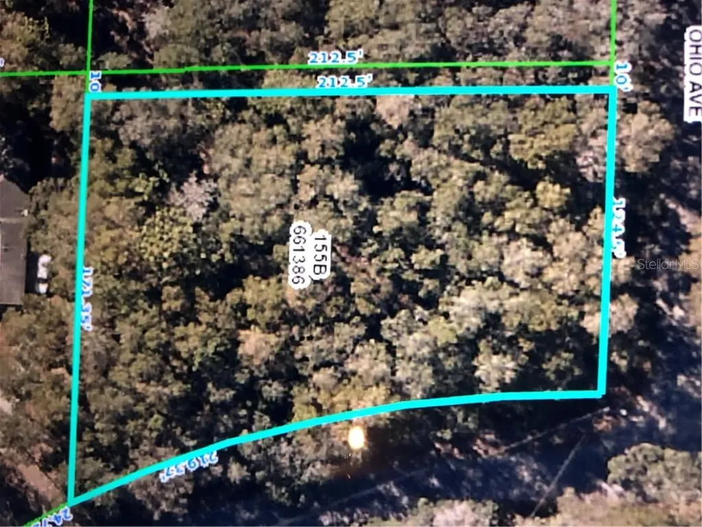 33536 Westwood Drive Dade City FL 33523