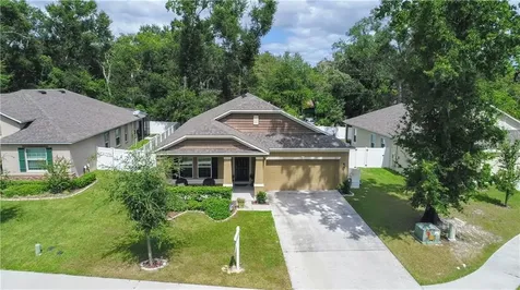 1405 Independence Lane Mount Dora FL 32757
