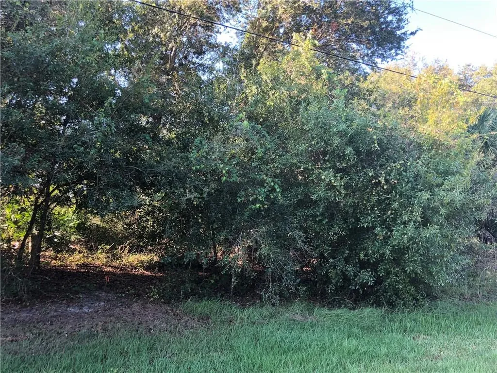 510 Encarnacion Street Punta Gorda FL 33983