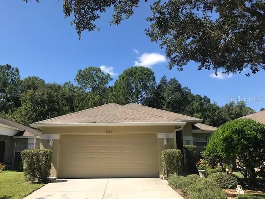 5223 Gato Del Sol Circle Wesley Chapel FL 33544