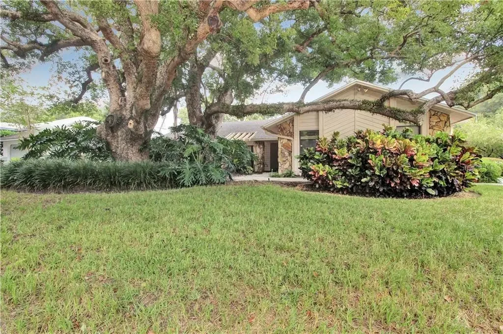 2007 Magdalene Manor Drive Tampa FL 33613