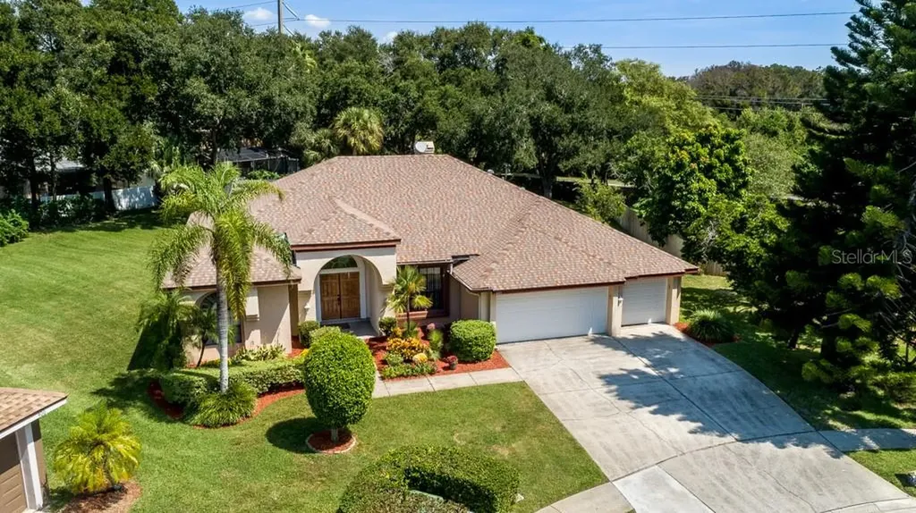 401 Pine Warbler Way N Palm Harbor FL 34683