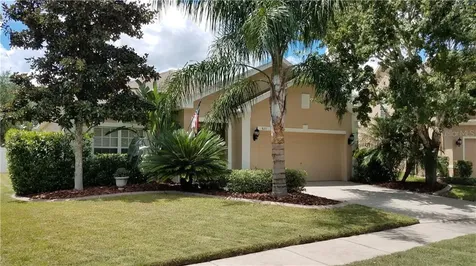 6111 Desert Peace Avenue Land O Lakes FL 34639