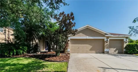 19164 Dove Creek Drive Tampa FL 33647