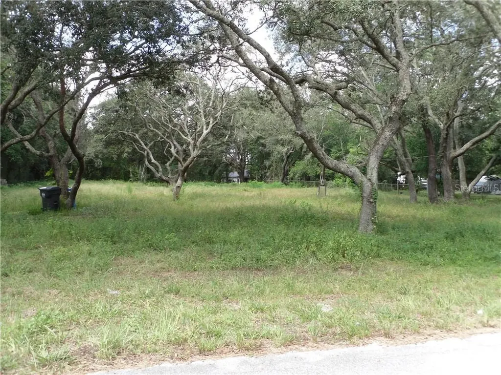 14816 N 20th Street Lutz FL 33549