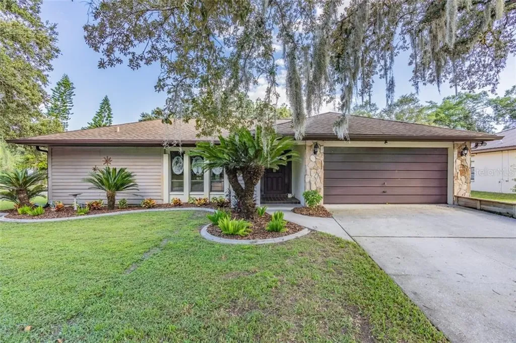 3001 Egret Terrace Safety Harbor FL 34695