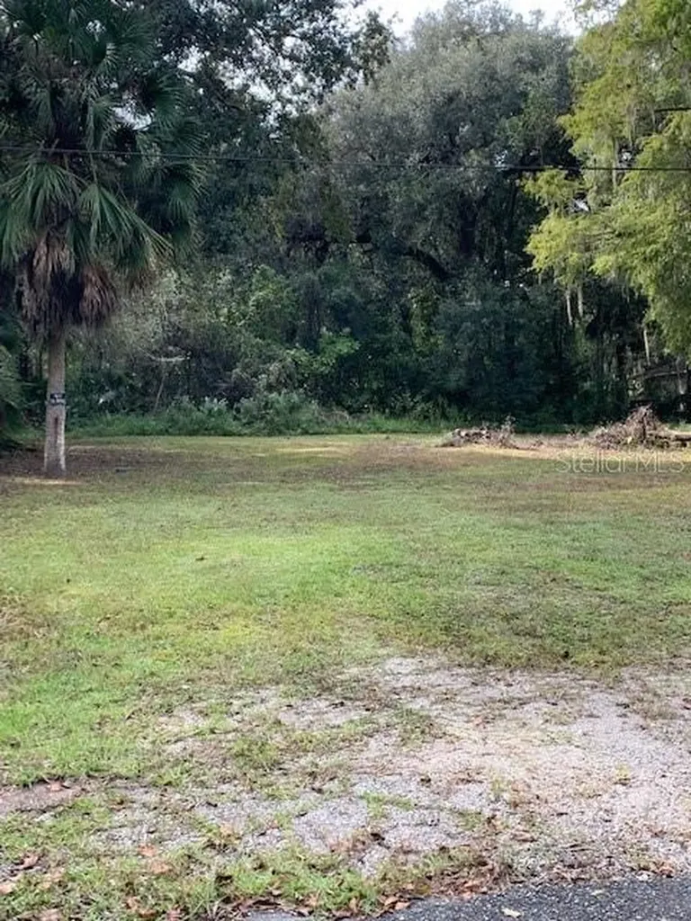 2576 Cr 426c Lake Panasoffkee FL 33538
