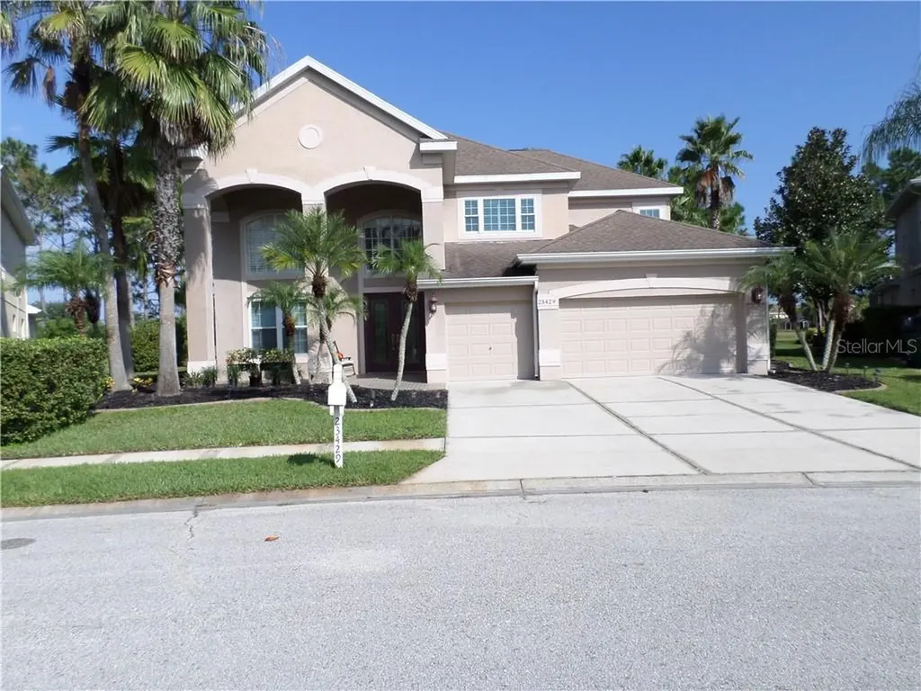 23429 Vistamar Court Land O Lakes FL 34639