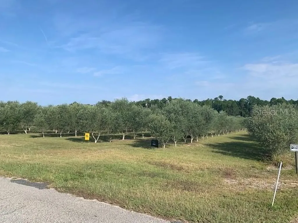 8066 Lake Nellie Road Clermont FL 34714