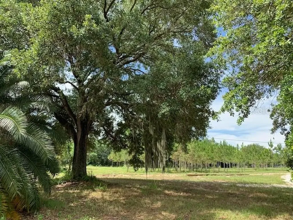 13834 Max Hooks Road Clermont FL 34711