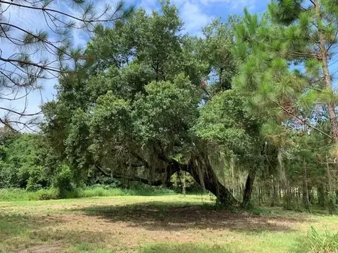 13820 Max Hooks Road Clermont FL 34711