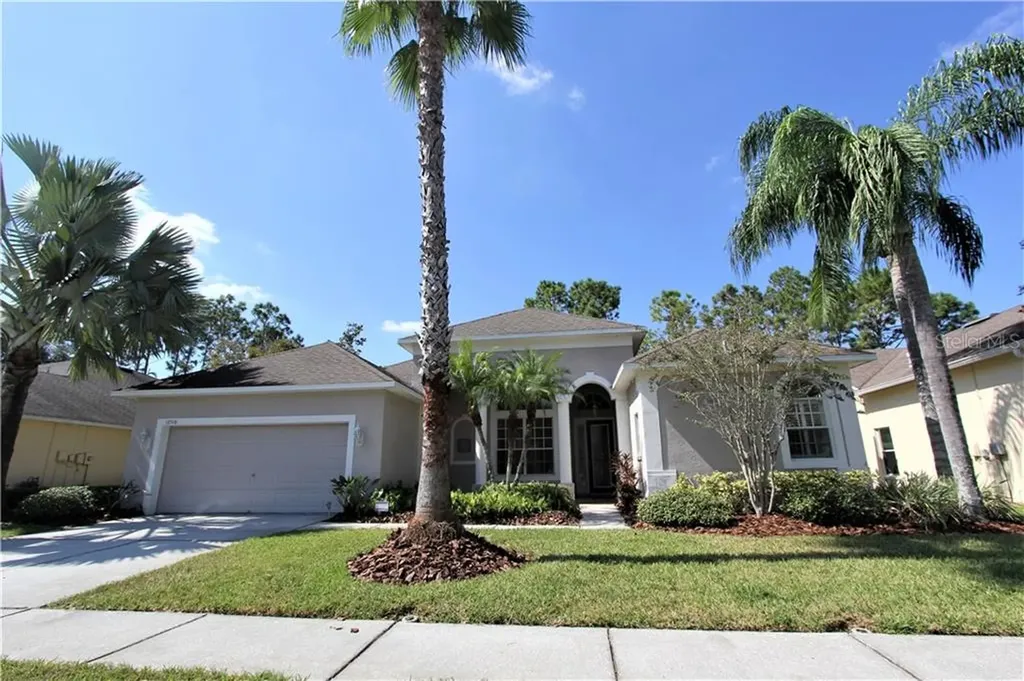 12516 Leatherleaf Drive Tampa FL 33626