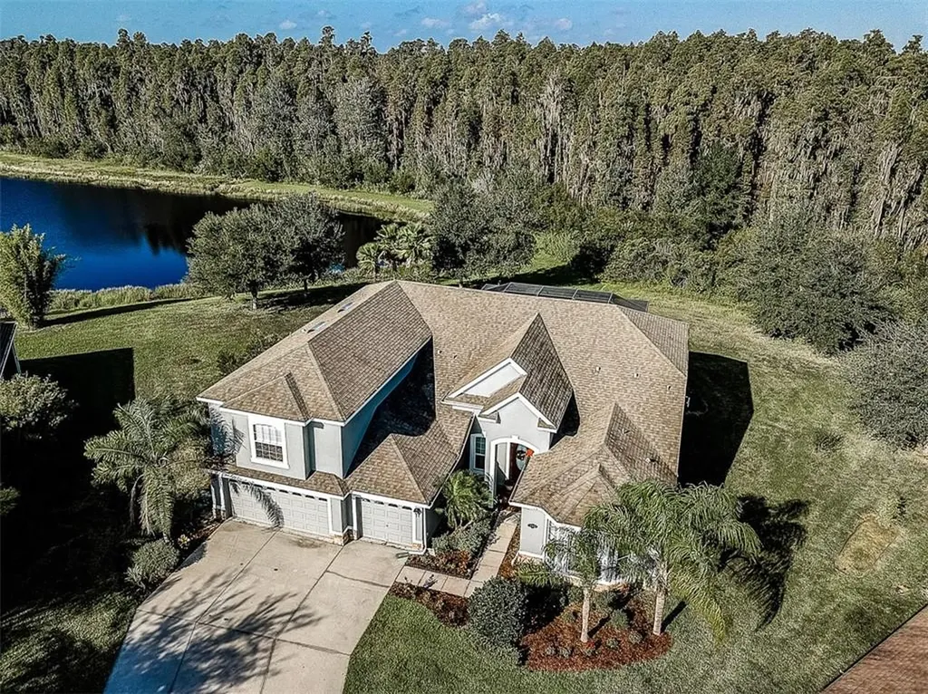 19320 Yellow Clover Drive Tampa FL 33647
