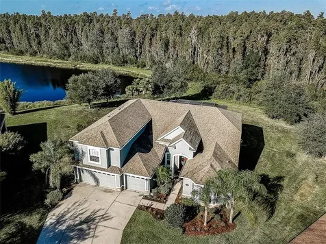 19320 Yellow Clover Drive Tampa FL 33647