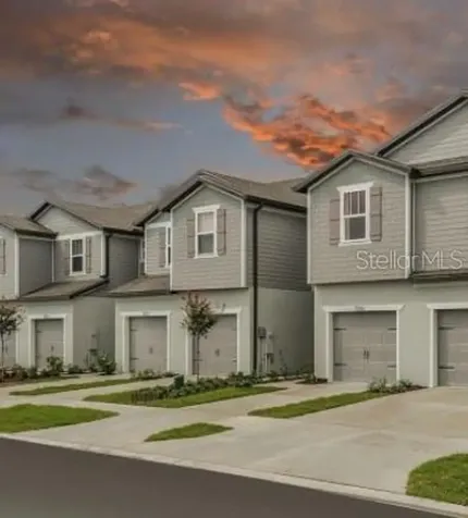 5035 Blue Latan Lane Tampa FL 33610