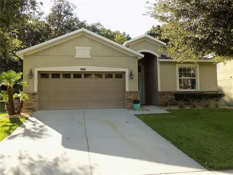 34339 Alameda Drive Sorrento FL 32776
