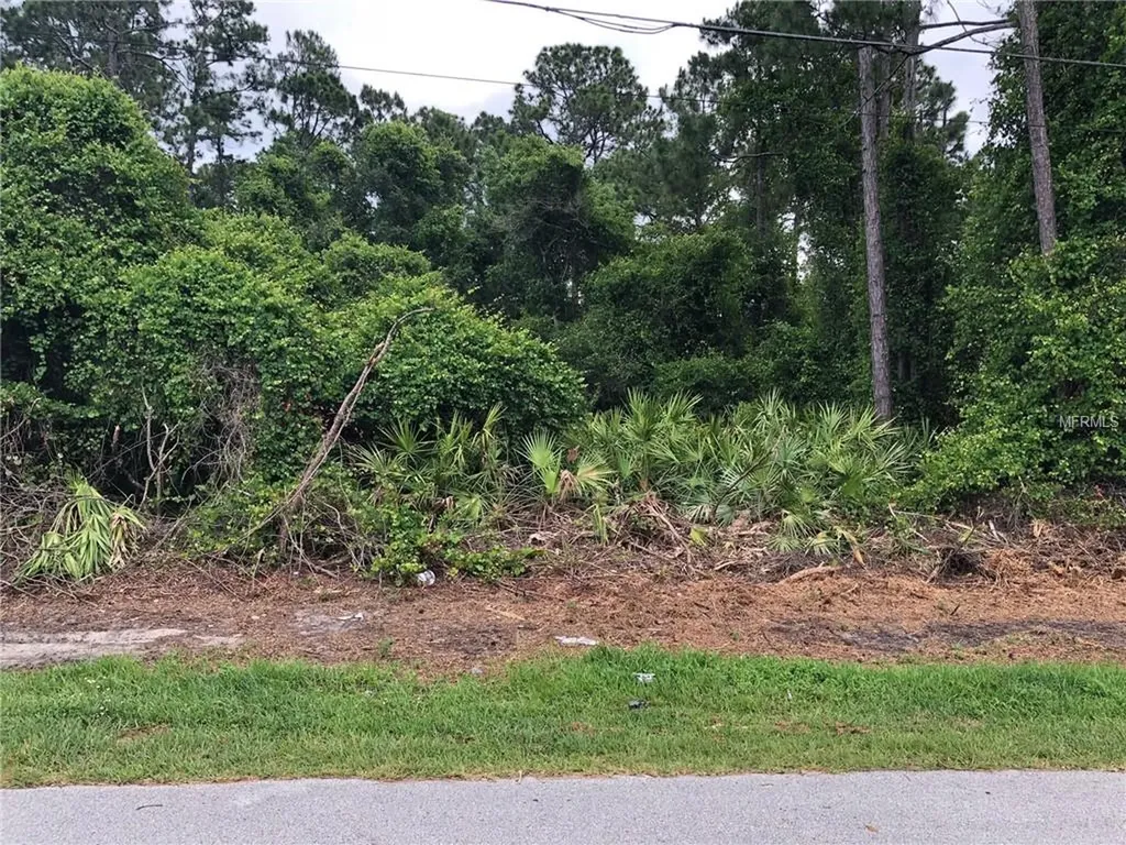 3190 Snow Drive Deltona FL 32738