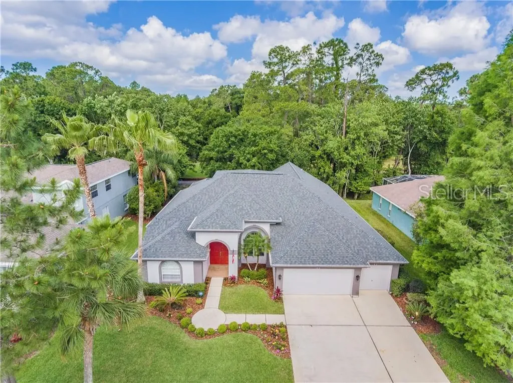 10524 Greencrest Drive Tampa FL 33626