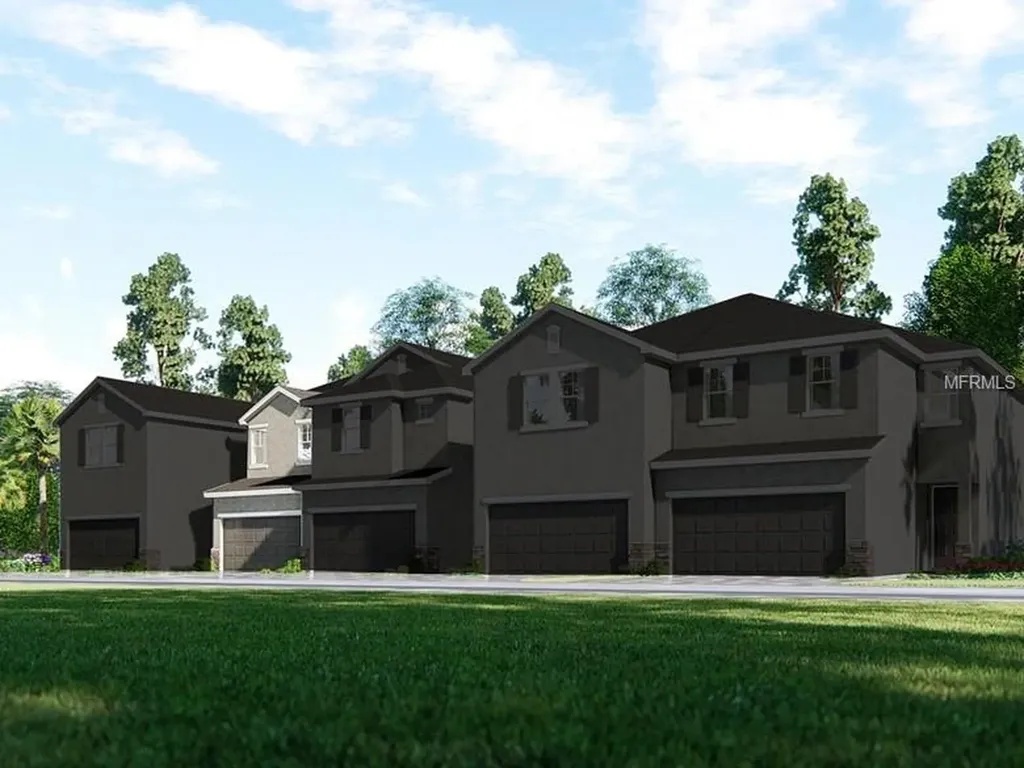 1107 Lady Gouldian Court Tampa FL 33613
