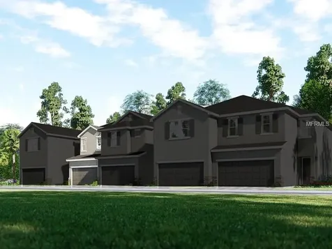1107 Lady Gouldian Court Tampa FL 33613