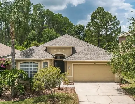 7549 Citrus Blossom Drive Land O Lakes FL 34637