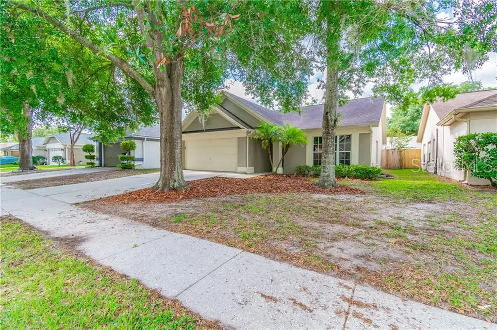 1011 Hardwood Drive Valrico FL 33596