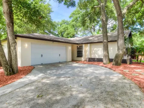 151 Arbor Glen Drive Palm Harbor FL 34683