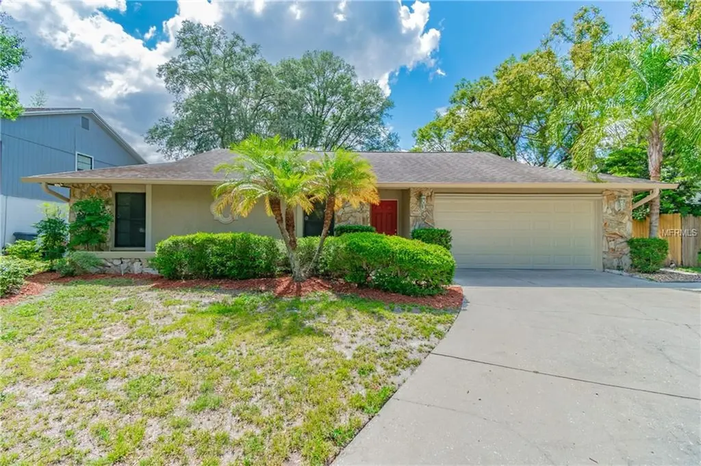 13716 Old Farm Drive Tampa FL 33625