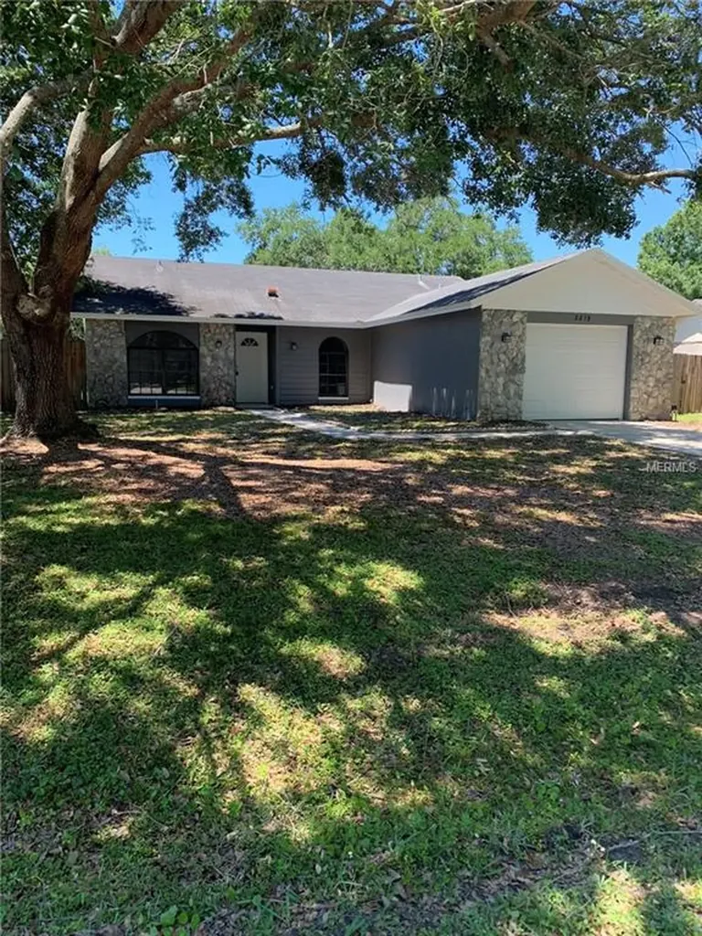 3819 Forest Park Place Land O Lakes FL 34639