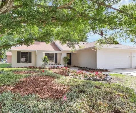 12509 Twisted Oak Drive Tampa FL 33624