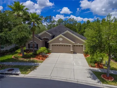 3247 Diamond Falls Circle Land O Lakes FL 34638