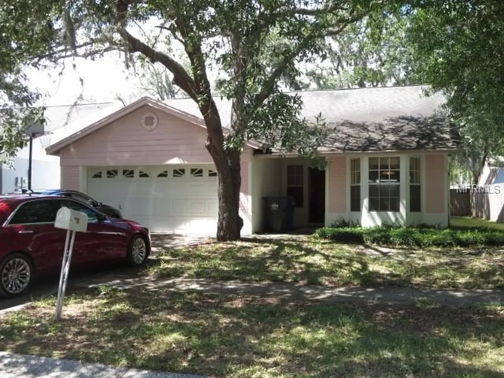2616 Shilo Court Valrico FL 33596