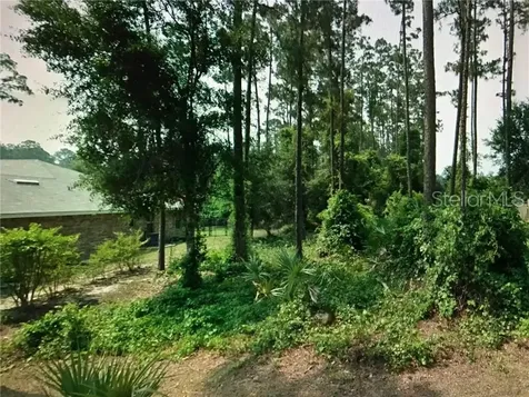 86 Briarvue Lane Palm Coast FL 32137