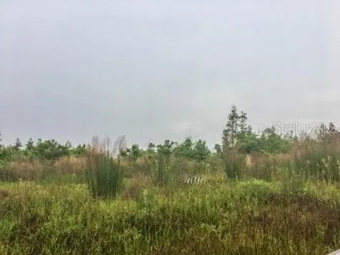Oil Well Road Clermont FL 34714