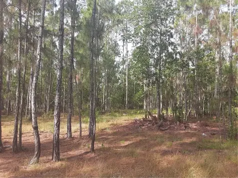 Oil Well Road Clermont FL 34714