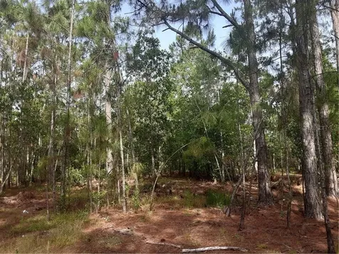 Oil Well Road Clermont FL 34714