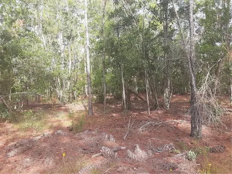 Oil Well Road Clermont FL 34714